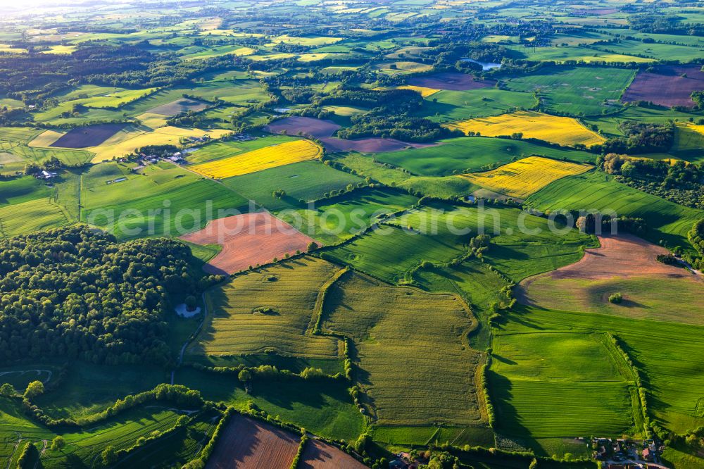 Aerial image Blekendorf - Wavy grass surface structures of a hilly landscape Holsteinische Schweiz on street Schoolbrook in Blekendorf in the state Schleswig-Holstein, Germany