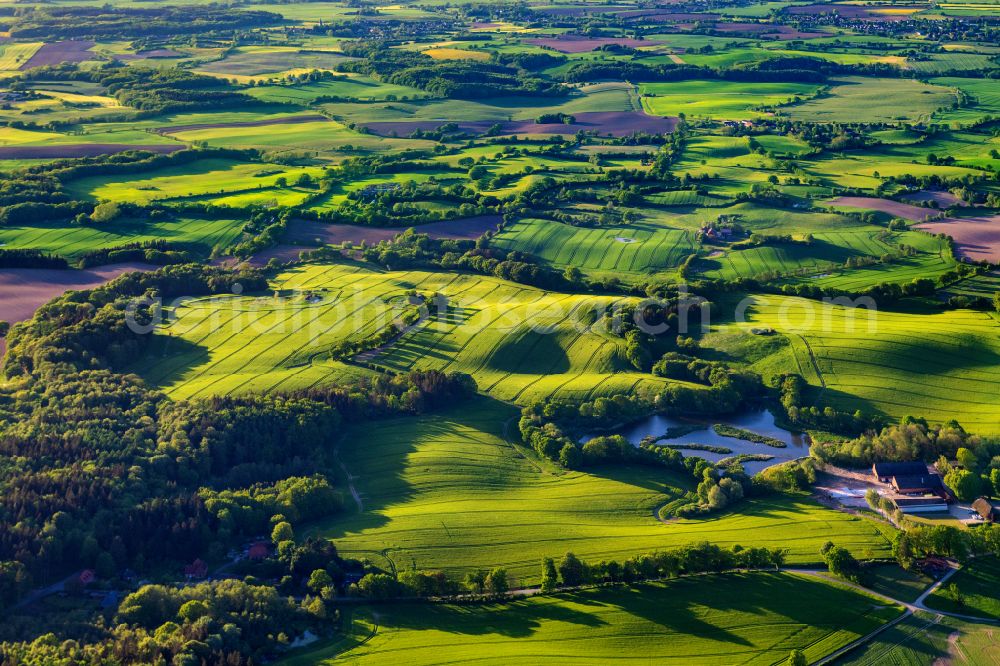 Aerial photograph Kletkamp - Wavy grass surface structures of a hilly landscape Holsteinische Schweiz on street Schoolbrook in Blekendorf in the state Schleswig-Holstein, Germany