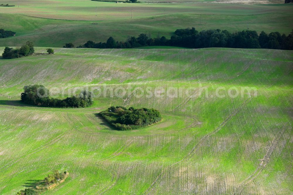 Aerial image Gerswalde - Wavy grass surface structures of a hilly landscape in Gerswalde in the state Brandenburg, Germany