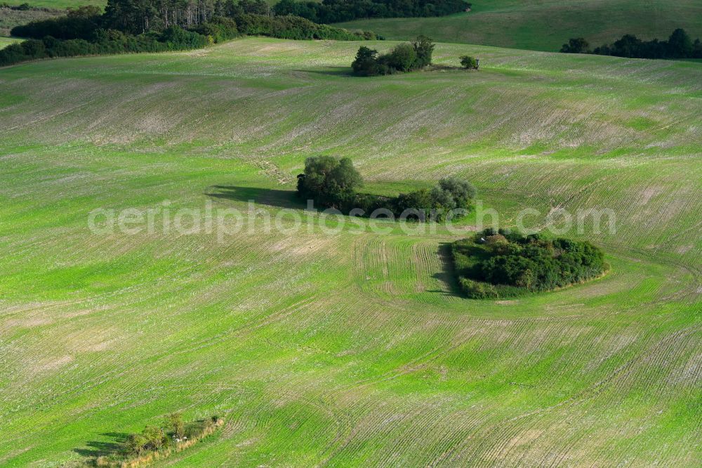 Aerial photograph Gerswalde - Wavy grass surface structures of a hilly landscape in Gerswalde in the state Brandenburg, Germany