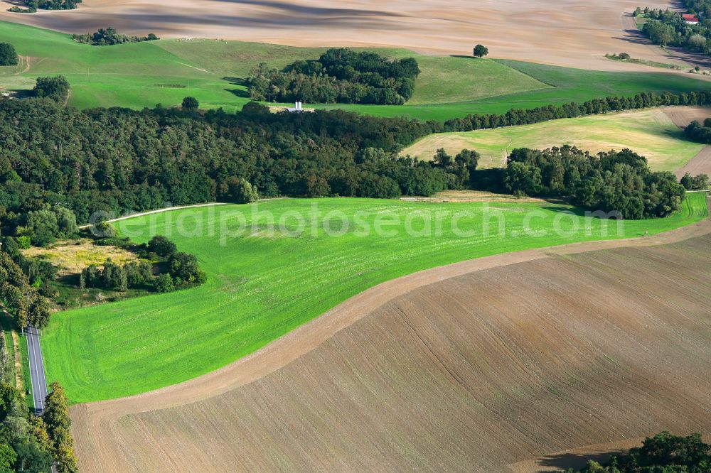 Nordwestuckermark from above - Wavy grass surface structures of a hilly landscape in Nordwestuckermark Uckermark in the state Brandenburg, Germany