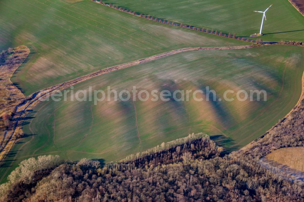 Quenstedt from the bird's eye view: Wavy grass surface structures of a hilly landscape in Quenstedt in the state Saxony-Anhalt, Germany