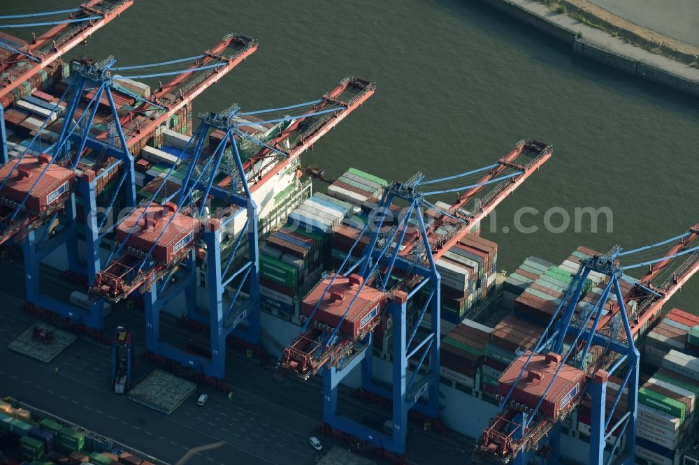 Aerial photograph Hamburg - View on container and container ships at berth HHLA Logistics Container Terminal Burchhardkai and Walter Hofer Euro Gate Container Terminal in the Port of Hamburg harbor in Hamburg