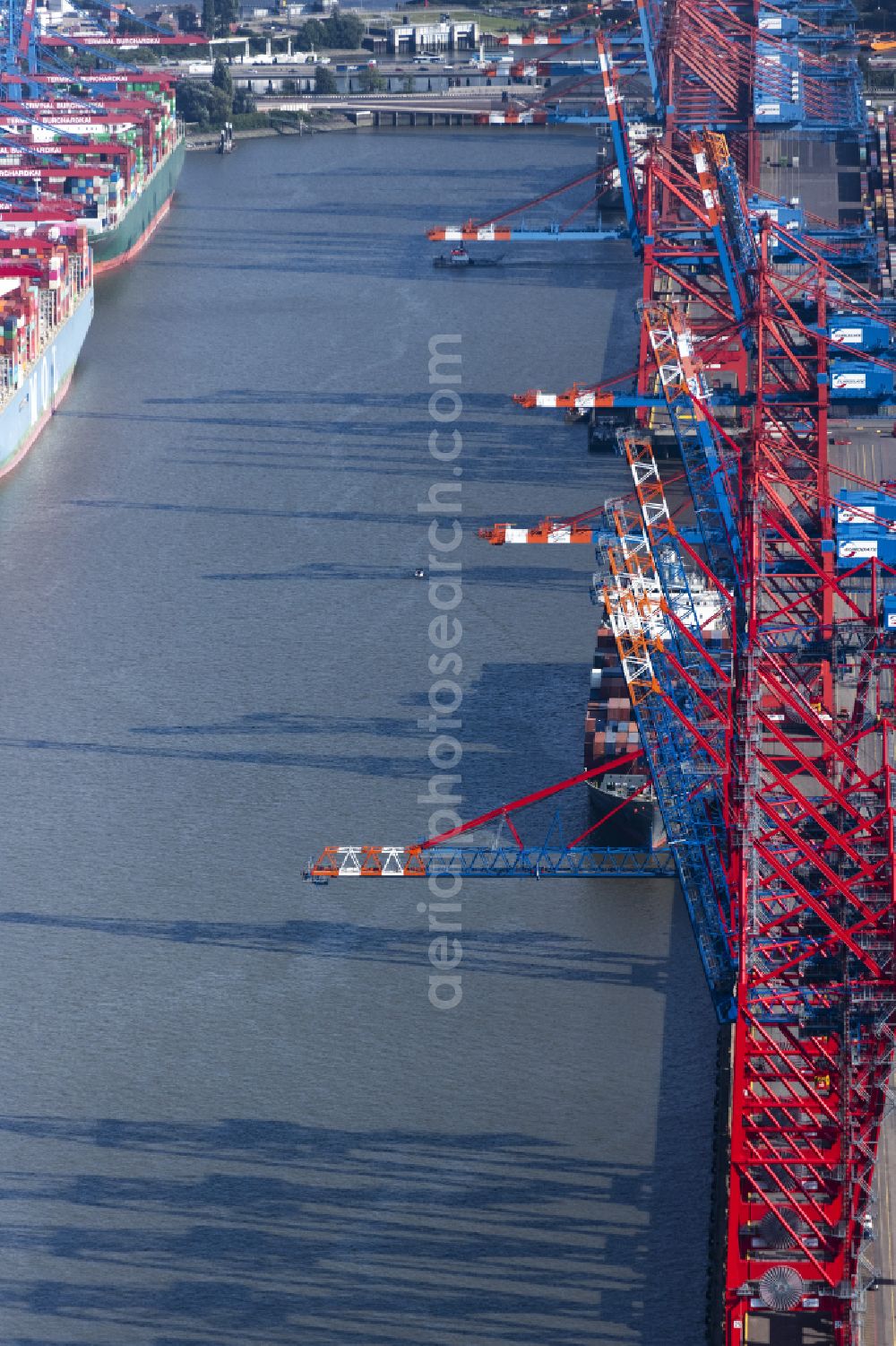 Hamburg from above - View on container and container ships at berth HHLA Logistics Container Terminal Burchhardkai and Walter Hofer Euro Gate Container Terminal in the Port of Hamburg harbor in Hamburg