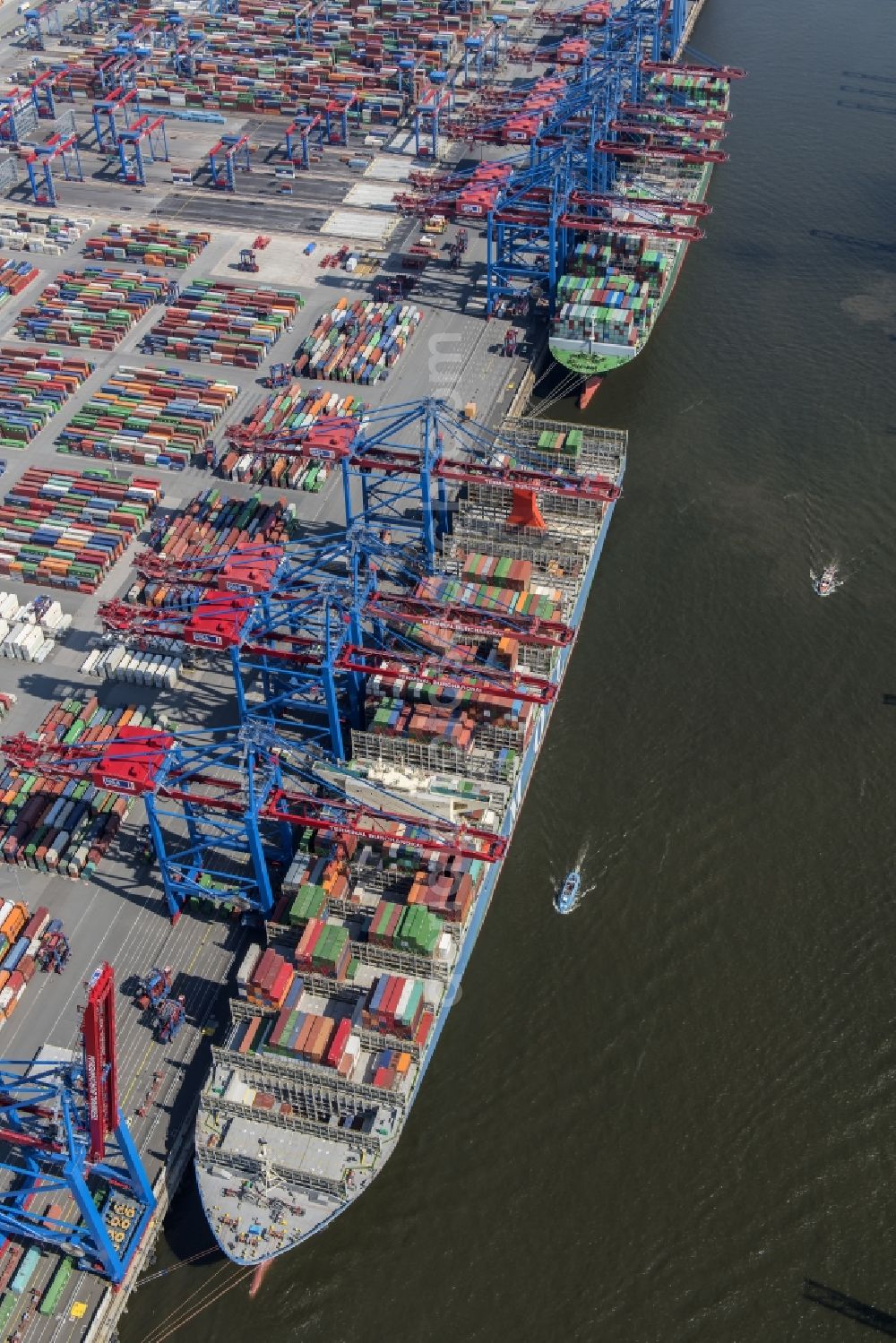 Hamburg from above - View on container and container ships at berth HHLA Logistics Container Terminal Burchhardkai and Walter Hofer Euro Gate Container Terminal in the Port of Hamburg harbor in Hamburg. Containership MOL Triumph