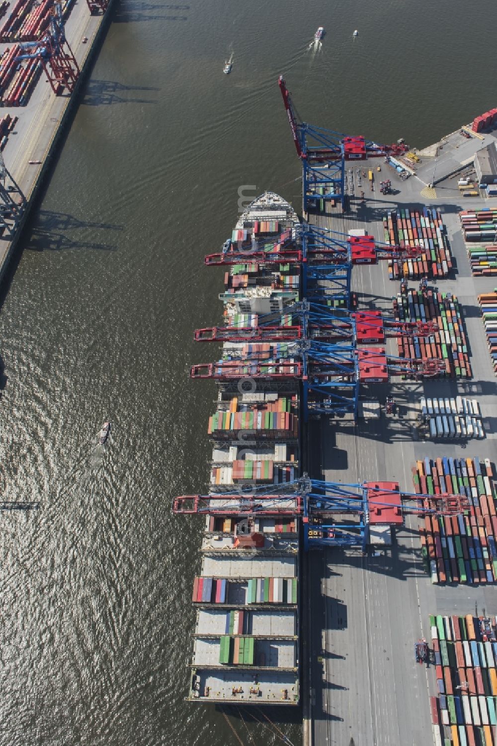 Hamburg from the bird's eye view: View on container and container ships at berth HHLA Logistics Container Terminal Burchhardkai and Walter Hofer Euro Gate Container Terminal in the Port of Hamburg harbor in Hamburg. Containership MOL Triumph