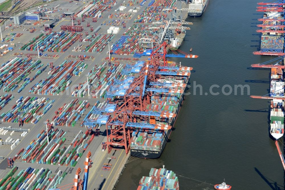 Hamburg from above - View on container and container ships at berth HHLA Logistics Container Terminal Tollerort and Walter Hofer Euro Gate Container Terminal in the Port of Hamburg harbor in Hamburg