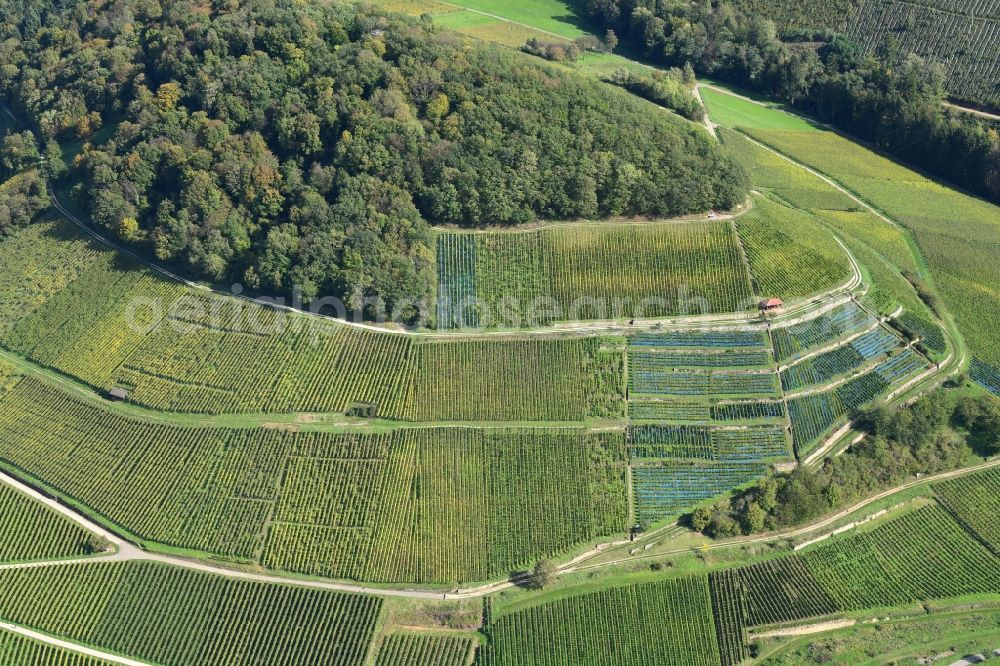 Aerial image Ballrechten-Dottingen - Vineyard Castellberg in the wine cultivation landscape in the district Ballrechten in Ballrechten-Dottingen in the state Baden-Wurttemberg, Germany