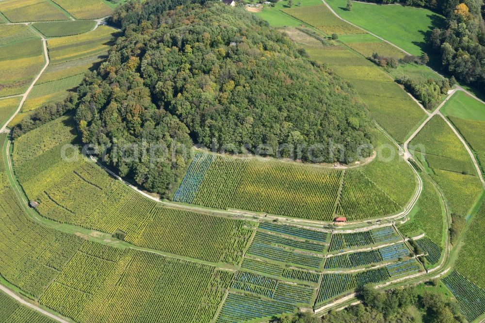 Aerial photograph Ballrechten-Dottingen - Vineyard Castellberg in the wine cultivation landscape in the district Ballrechten in Ballrechten-Dottingen in the state Baden-Wurttemberg, Germany