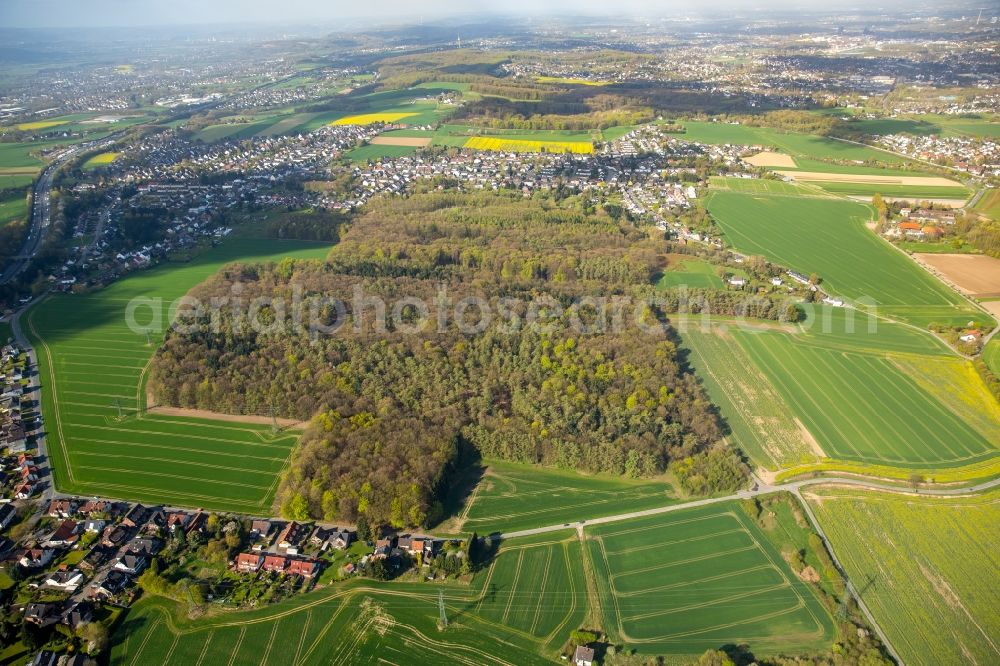 Aerial photograph Dortmund - Hixterwald Treetops in a wooded area in Dortmund in the state North Rhine-Westphalia