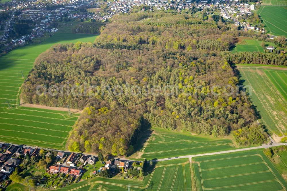 Dortmund from above - Hixterwald Treetops in a wooded area in Dortmund in the state North Rhine-Westphalia