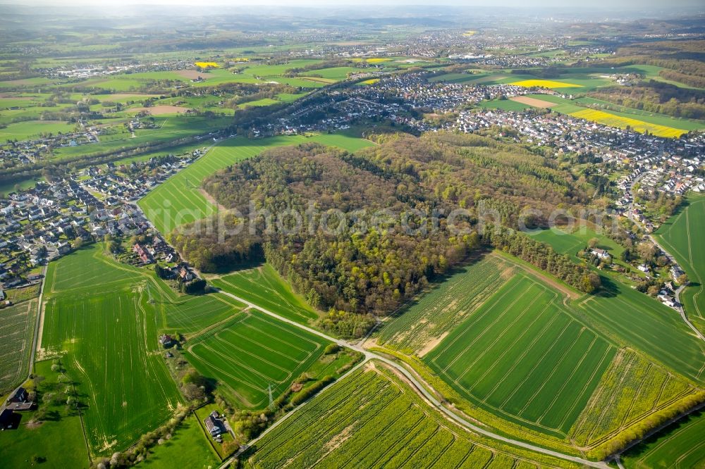 Dortmund from the bird's eye view: Hixterwald Treetops in a wooded area in Dortmund in the state North Rhine-Westphalia