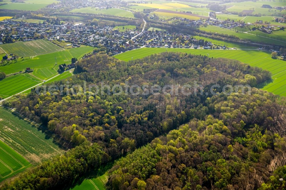 Aerial image Dortmund - Hixterwald Treetops in a wooded area in Dortmund in the state North Rhine-Westphalia