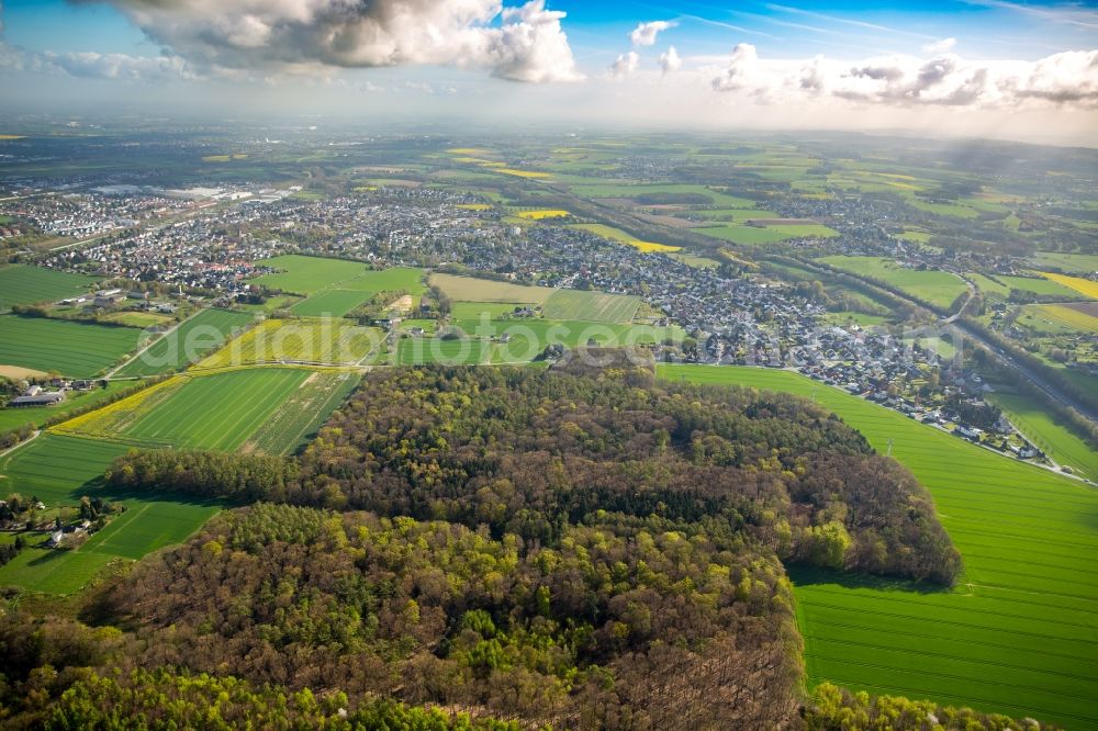 Aerial photograph Dortmund - Hixterwald Treetops in a wooded area in Dortmund in the state North Rhine-Westphalia