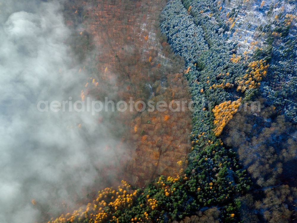 Aerial image Spessart - High-Fog - landscape in the late fall through forests of the Spessart in Bavaria