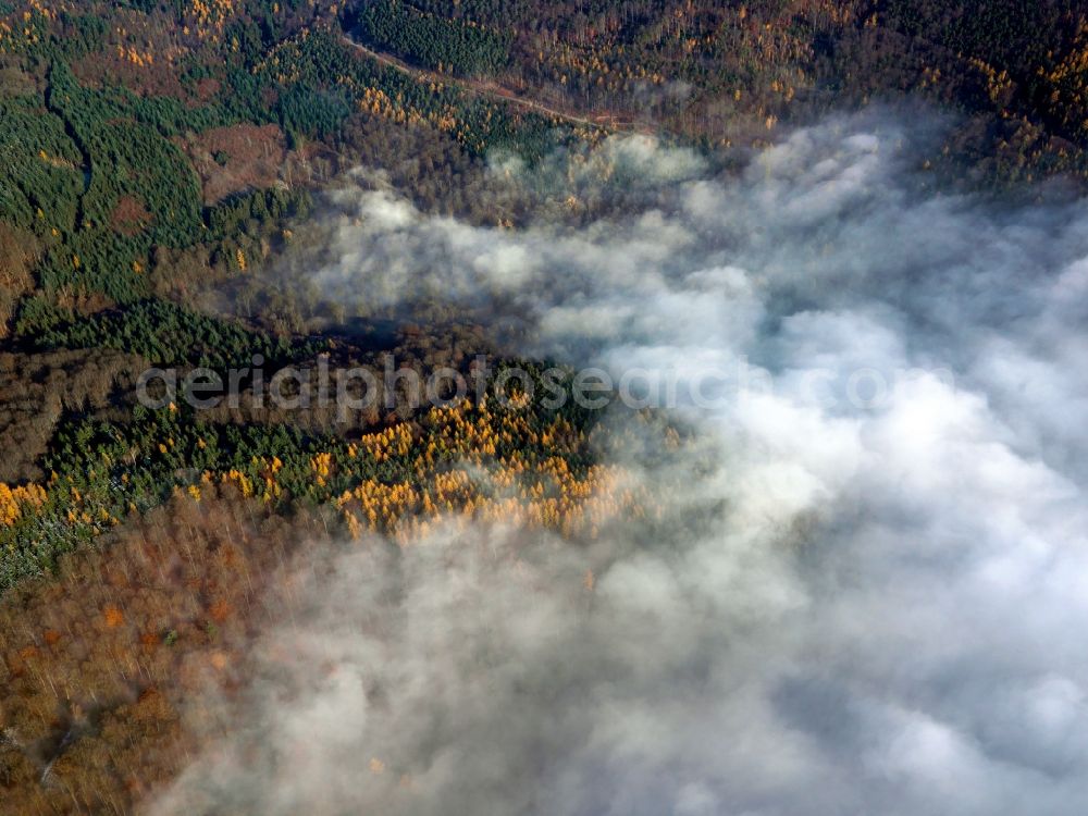 Aerial photograph Spessart - High-Fog - landscape in the late fall through forests of the Spessart in Bavaria