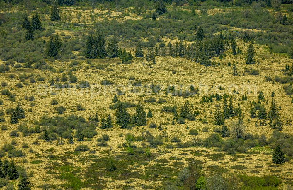 Aerial photograph Monschau - Landscape plateau of the plateau Hohes Venn on street Plattevenn in Monschau in the state North Rhine-Westphalia, Germany