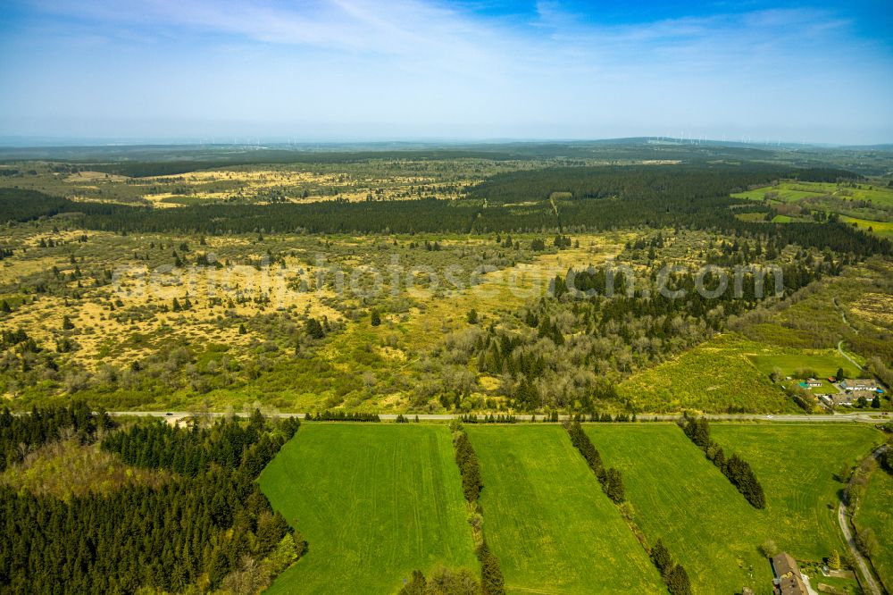 Monschau from the bird's eye view: Landscape plateau of the plateau Hohes Venn on street Plattevenn in Monschau in the state North Rhine-Westphalia, Germany