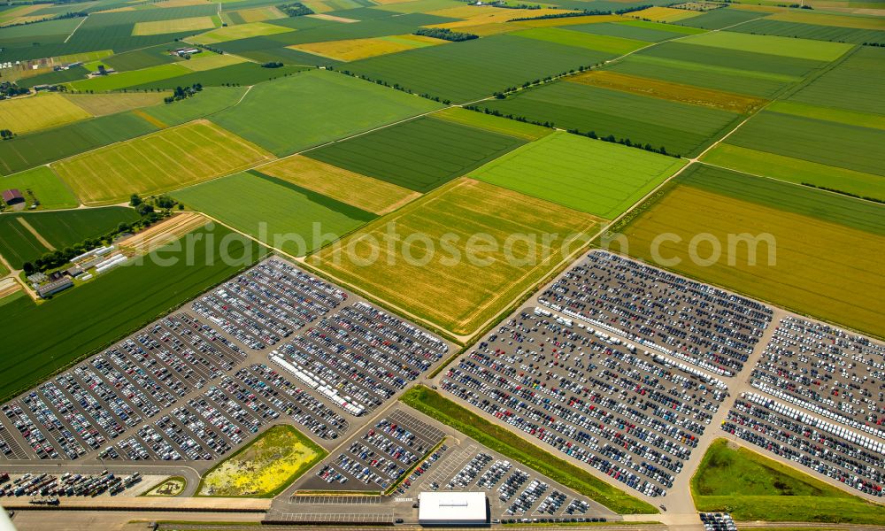 Aerial image Zülpich - High-bay warehouse building complex and logistics center on the premises of Wallenius Wilhelmsen ASA on street Richard-Lawson-Strasse in the district Geich in Zuelpich in the state North Rhine-Westphalia, Germany