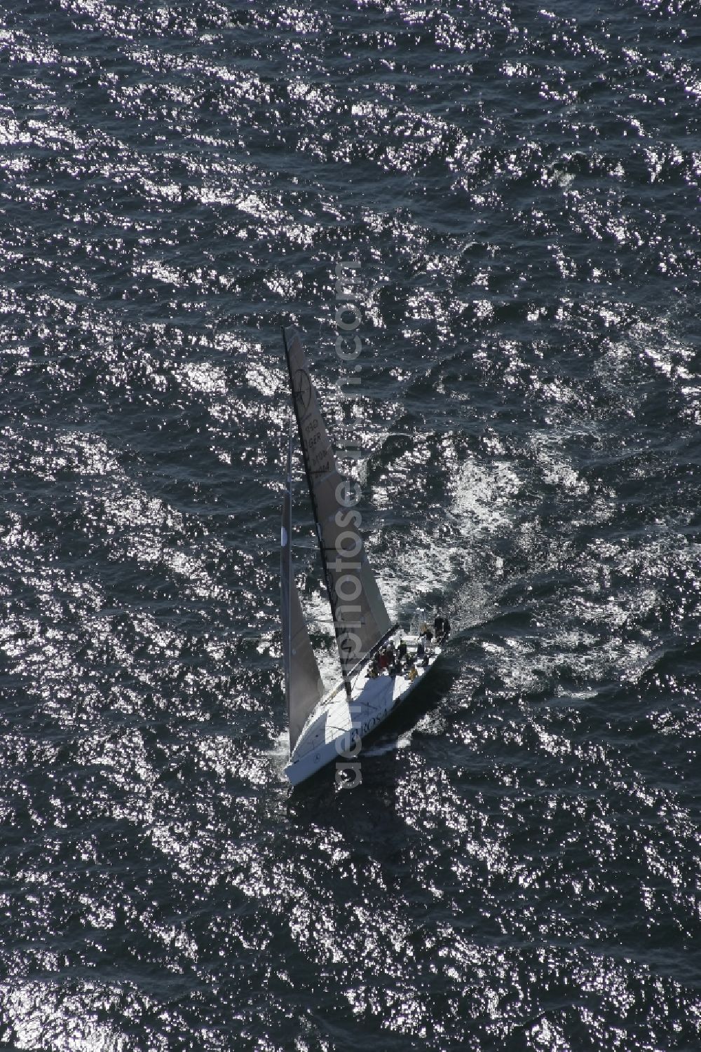 Kiel from above - Offshore sailing racing yacht on the Kiel Fjord in Schleswig-Holstein
