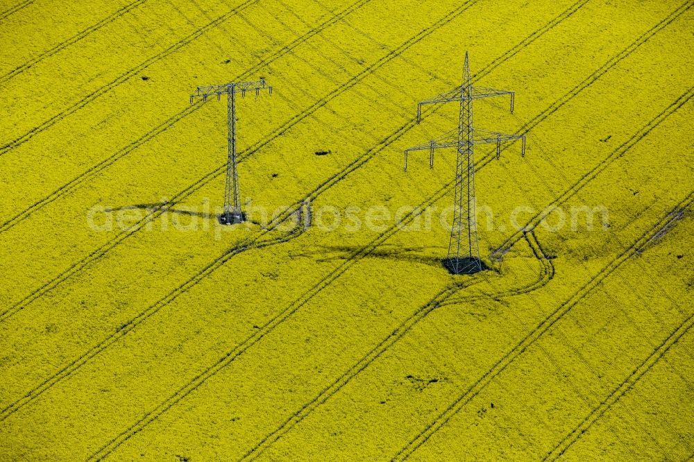 Werneuchen from above - Power lines and pylons on a yellow rapeseed field in Werneuchen in the state of Brandenburg