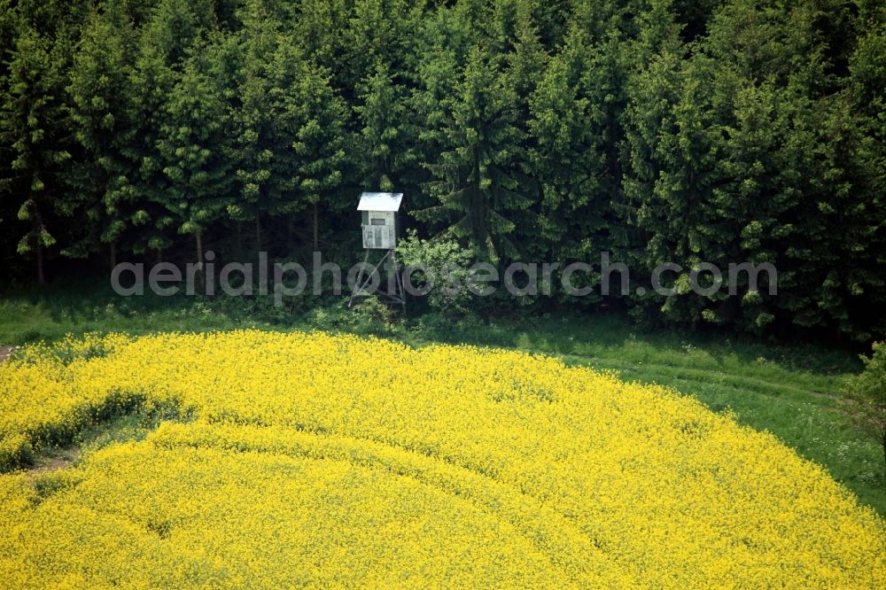 Aerial image Paska - High seat on a rapeseed field in Paska in the state of Thuringia. The raised hide is located between the yellow field and a forest