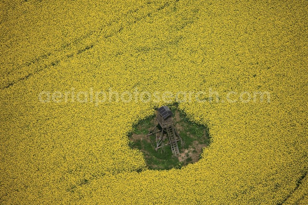 Göschitz from above - High seat on a rapeseed field the Roedersdorf part of Goeschitz in the state of Thuringia. The raised hide is located amidst the yellow field