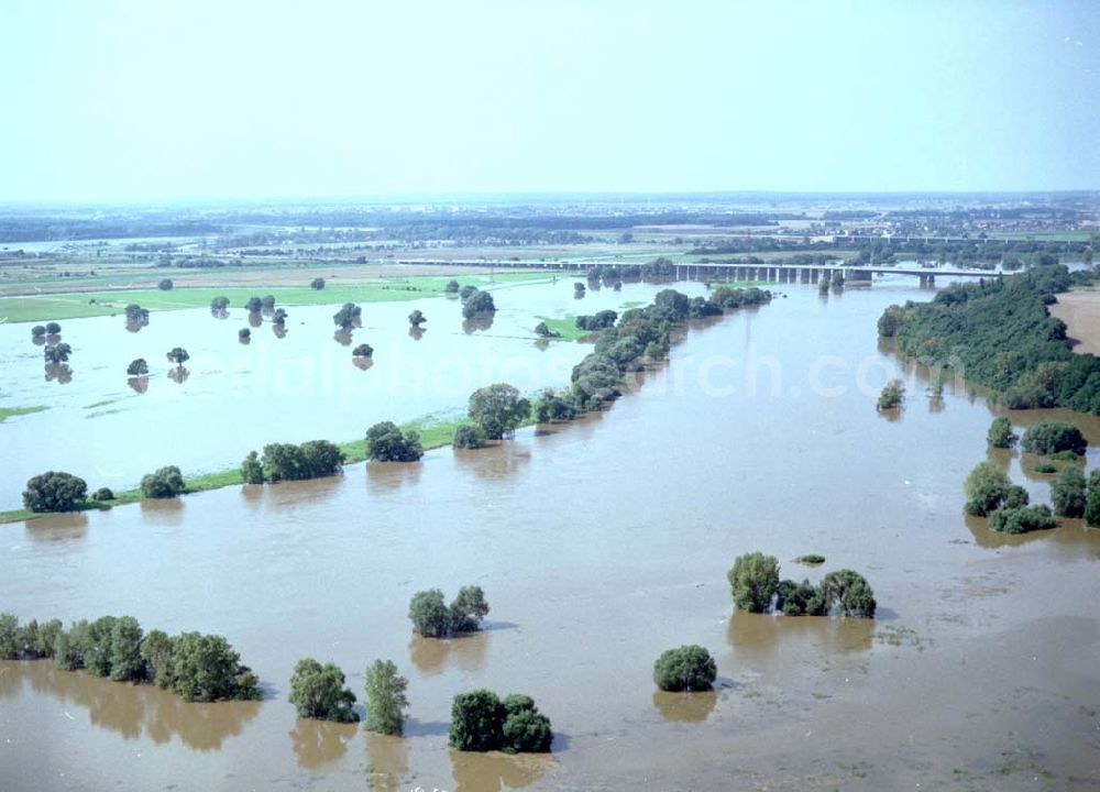 Magdeburg from the bird's eye view: 16.08.2002 Hochwasser am Elbebereich Magdeburg