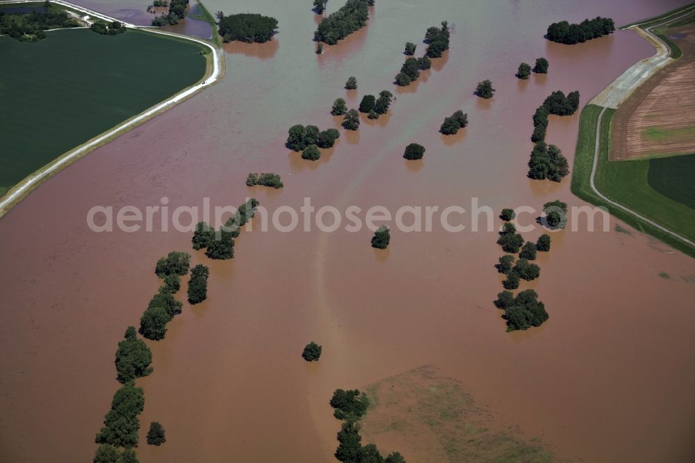 Belgern from the bird's eye view: Flood disaster flood flooding the banks of the Elbe and the surrounding areas in Belgern in Saxony