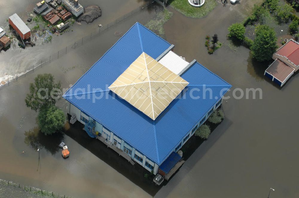 Frankfurt / Oder from the bird's eye view: Blick auf die angespannte Hochwassersituation der Oder am Bereich Gubener Vorstadt am Buschmühlenweg. View of the tense situation in the flood area of Frankfurt / Oder in Brandenburg.