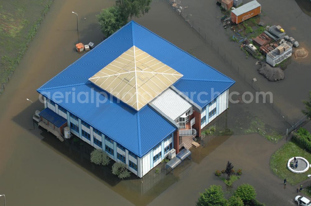 Frankfurt / Oder from the bird's eye view: Blick auf die angespannte Hochwassersituation der Oder am Bereich Gubener Vorstadt am Buschmühlenweg. View of the tense situation in the flood area of Frankfurt / Oder in Brandenburg.