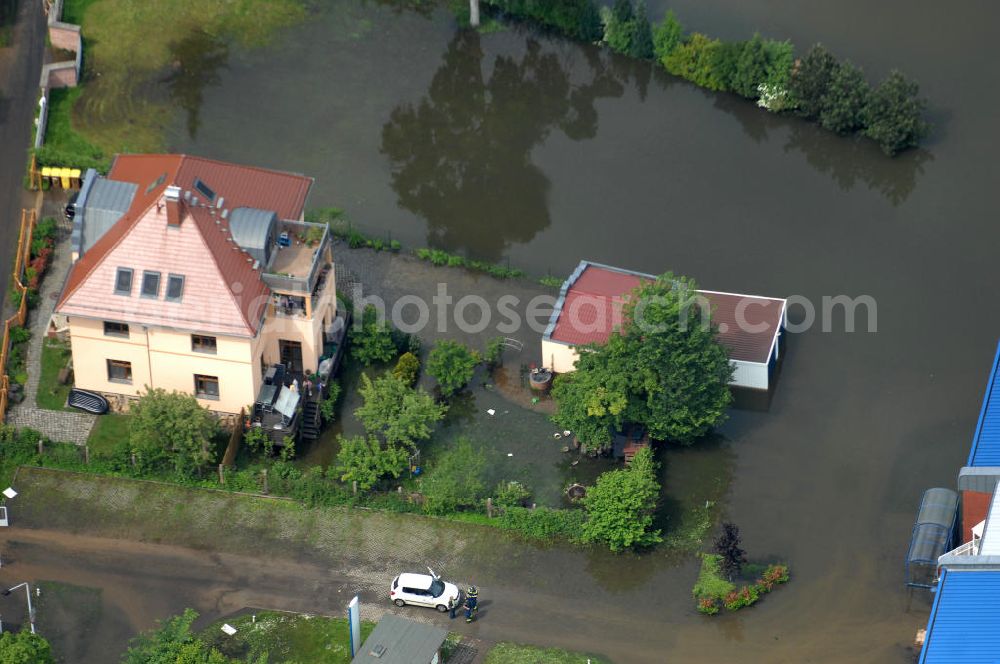 Frankfurt / Oder from the bird's eye view: Blick auf die angespannte Hochwassersituation der Oder am Bereich Gubener Vorstadt am Buschmühlenweg. View of the tense situation in the flood area of Frankfurt / Oder in Brandenburg.