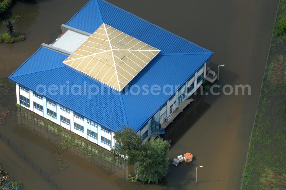 Aerial photograph Frankfurt / Oder - Blick auf die angespannte Hochwassersituation der Oder am Bereich Gubener Vorstadt am Buschmühlenweg. View of the tense situation in the flood area of Frankfurt / Oder in Brandenburg.