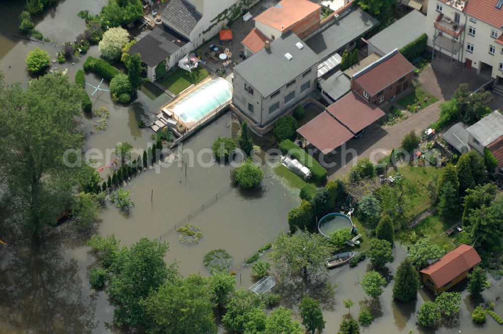 Frankfurt / Oder from the bird's eye view: Blick auf die angespannte Hochwassersituation der Oder am Bereich Gubener Vorstadt am Buschmühlenweg. View of the tense situation in the flood area of Frankfurt / Oder in Brandenburg.