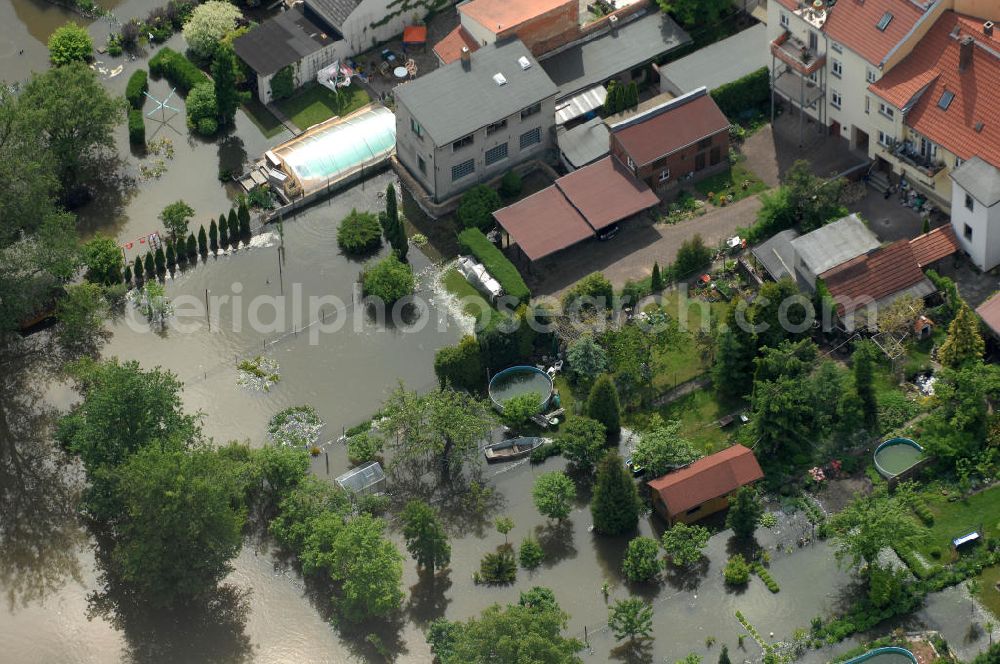 Aerial photograph Frankfurt / Oder - Blick auf die angespannte Hochwassersituation der Oder am Bereich Gubener Vorstadt am Buschmühlenweg. View of the tense situation in the flood area of Frankfurt / Oder in Brandenburg.