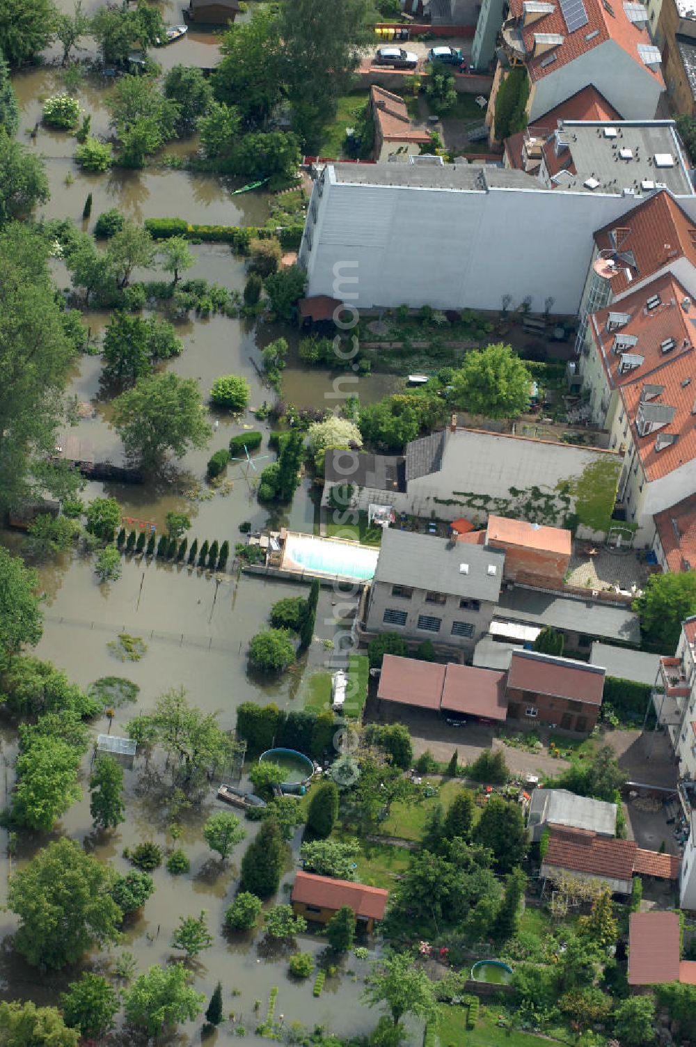 Frankfurt / Oder from the bird's eye view: Blick auf die angespannte Hochwassersituation der Oder am Bereich Gubener Vorstadt am Buschmühlenweg. View of the tense situation in the flood area of Frankfurt / Oder in Brandenburg.