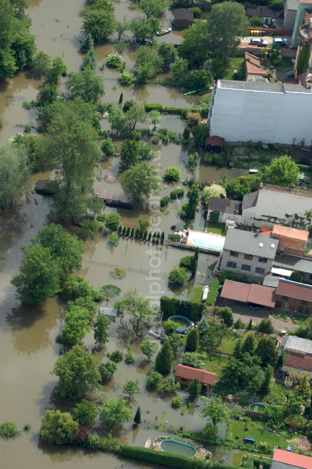 Aerial image Frankfurt / Oder - Blick auf die angespannte Hochwassersituation der Oder am Bereich Gubener Vorstadt am Buschmühlenweg. View of the tense situation in the flood area of Frankfurt / Oder in Brandenburg.