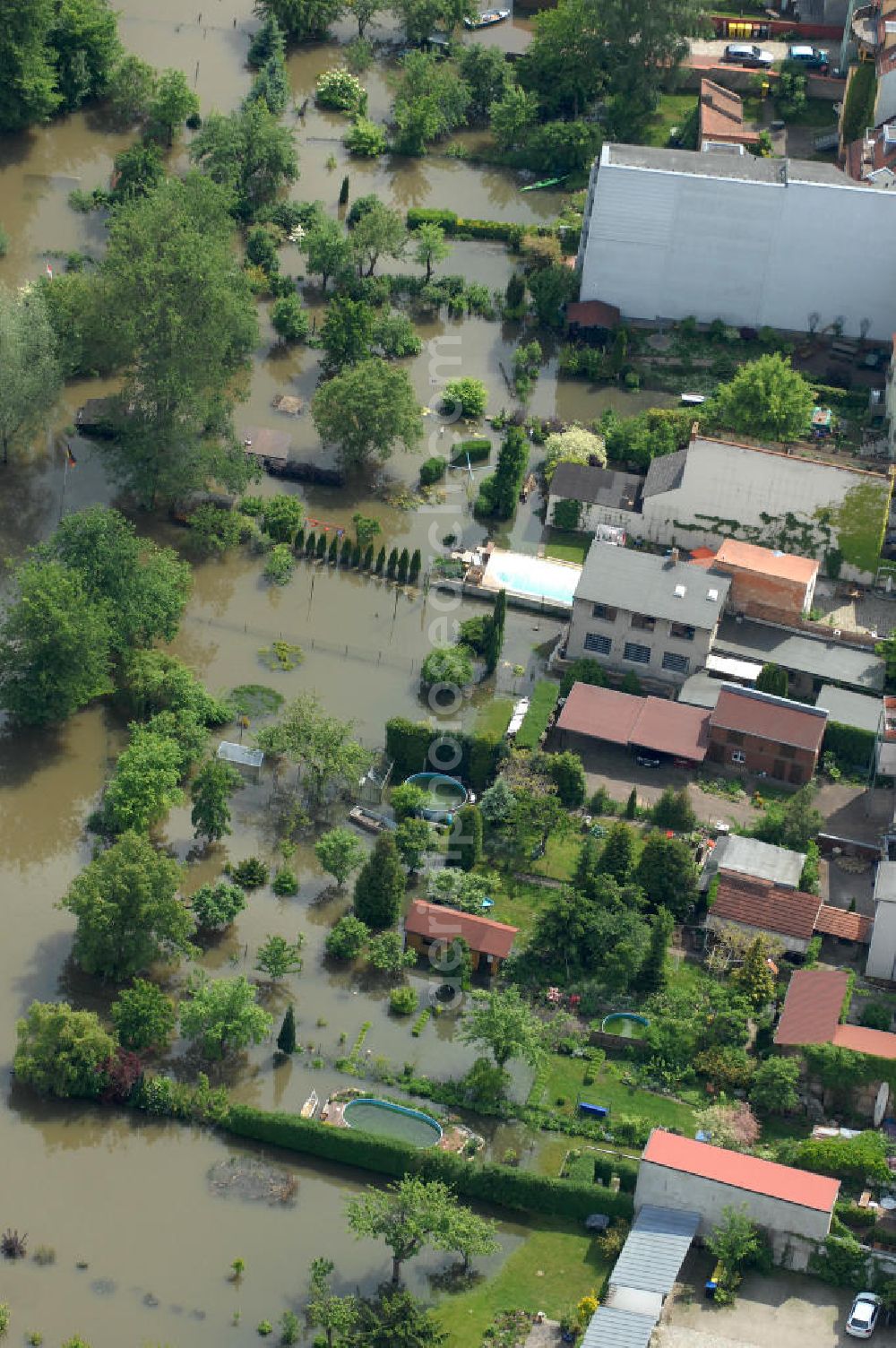 Aerial photograph Frankfurt / Oder - Blick auf die angespannte Hochwassersituation der Oder am Bereich Gubener Vorstadt am Buschmühlenweg. View of the tense situation in the flood area of Frankfurt / Oder in Brandenburg.