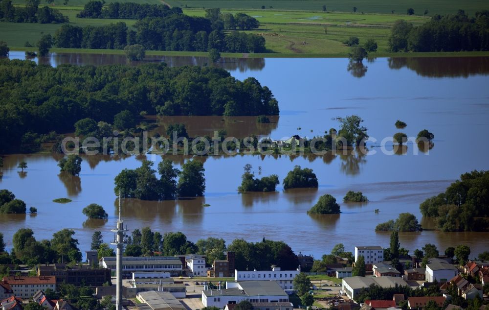 Wittenberg from the bird's eye view: Landscape with flood level - situation from flooding and overflow of the banks of the Elbe at Wittenberg in Saxony-Anhalt