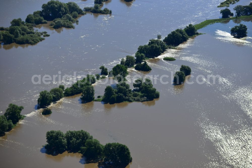 Wittenberg from the bird's eye view: Landscape with flood level - situation from flooding and overflow of the banks of the Elbe at Wittenberg in Saxony-Anhalt