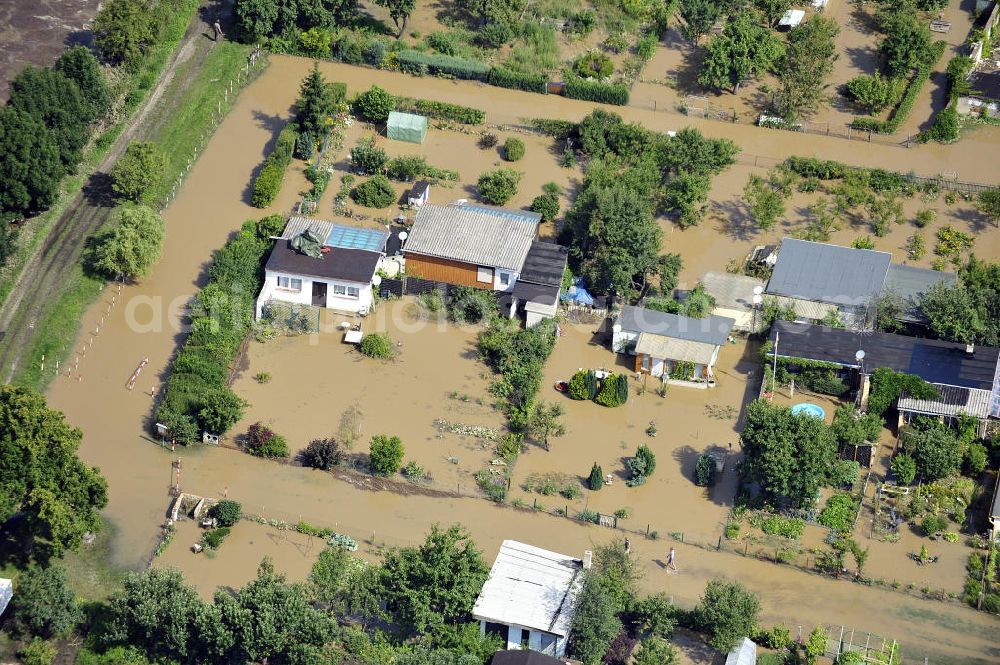 Aerial photograph Forst - Blick auf das Hochwasser der Neiße in Forst an der Richard-Wagner-Straße in einer Wochenendsiedlung. View of the flood of the River Neisse in Forst.