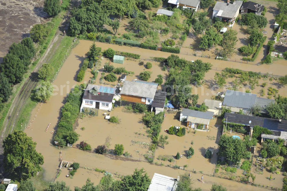 Forst from above - Blick auf das Hochwasser der Neiße in Forst an der Richard-Wagner-Straße in einer Wochenendsiedlung. View of the flood of the River Neisse in Forst.