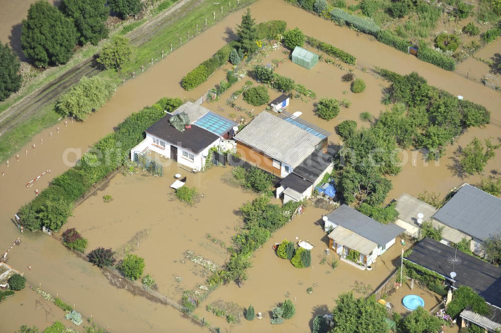 Forst from the bird's eye view: Blick auf das Hochwasser der Neiße in Forst an der Richard-Wagner-Straße in einer Wochenendsiedlung. View of the flood of the River Neisse in Forst.