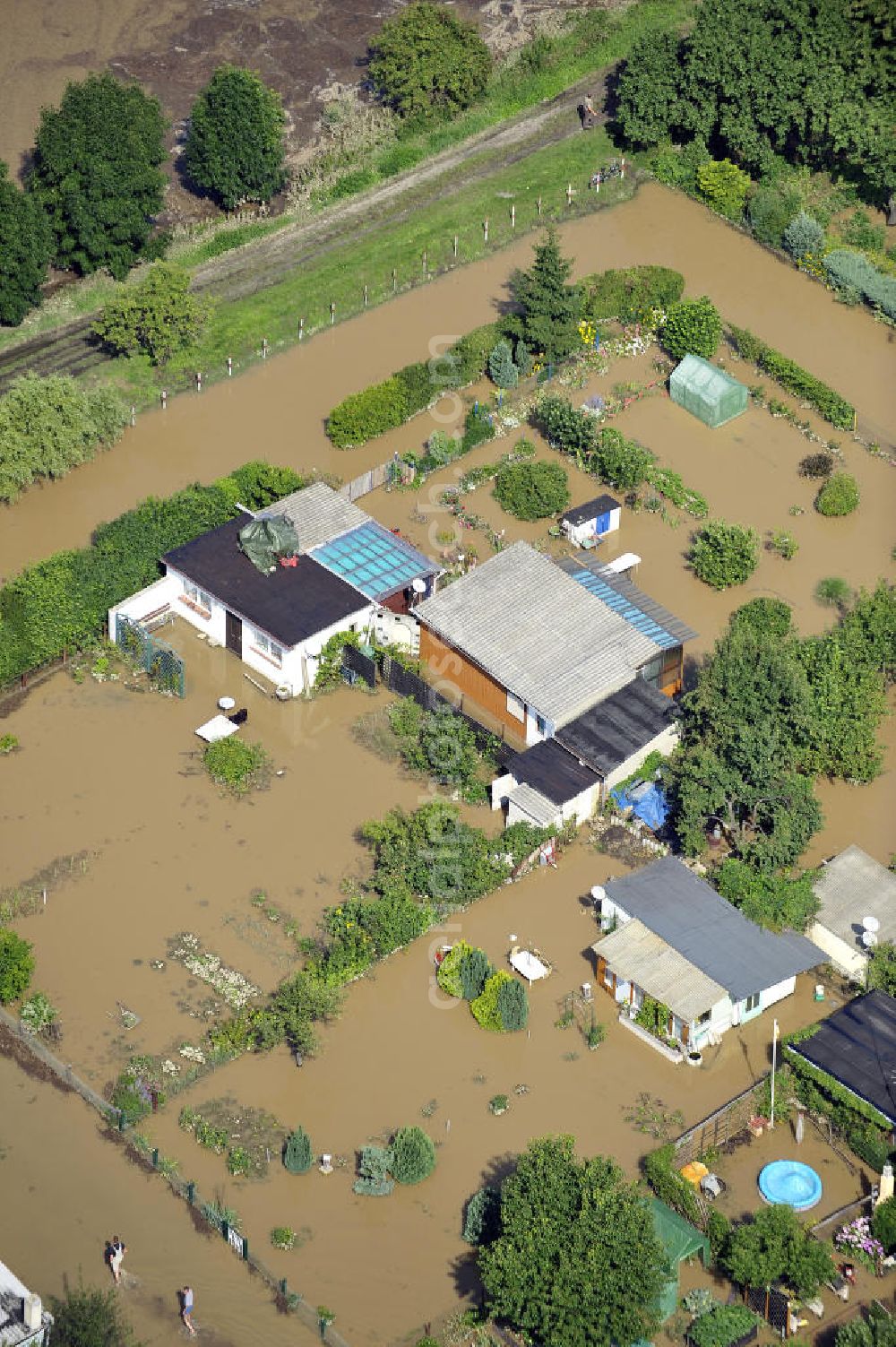 Aerial image Forst - Blick auf das Hochwasser der Neiße in Forst an der Richard-Wagner-Straße in einer Wochenendsiedlung. View of the flood of the River Neisse in Forst.