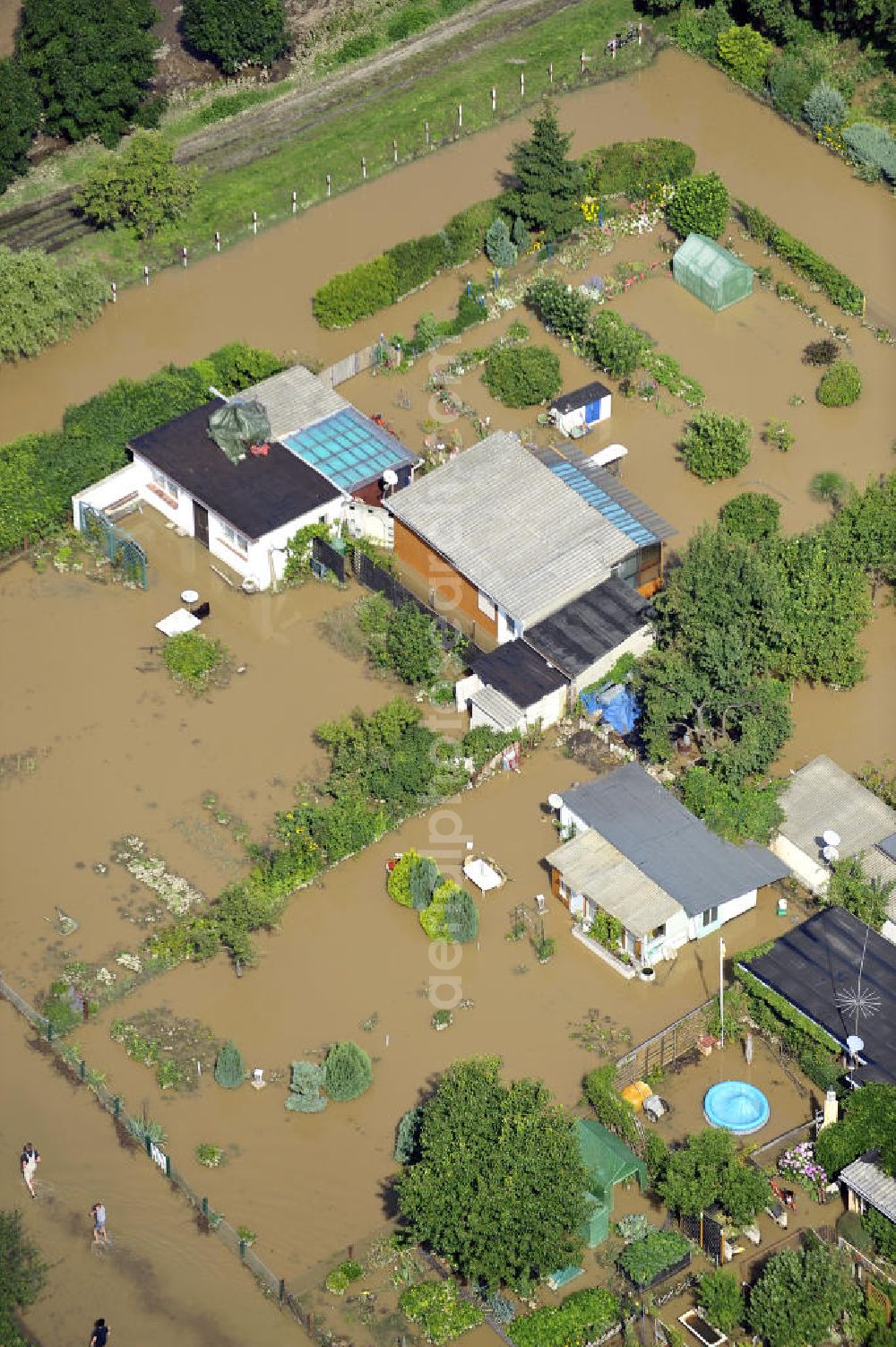 Aerial photograph Forst - Blick auf das Hochwasser der Neiße in Forst an der Richard-Wagner-Straße in einer Wochenendsiedlung. View of the flood of the River Neisse in Forst.