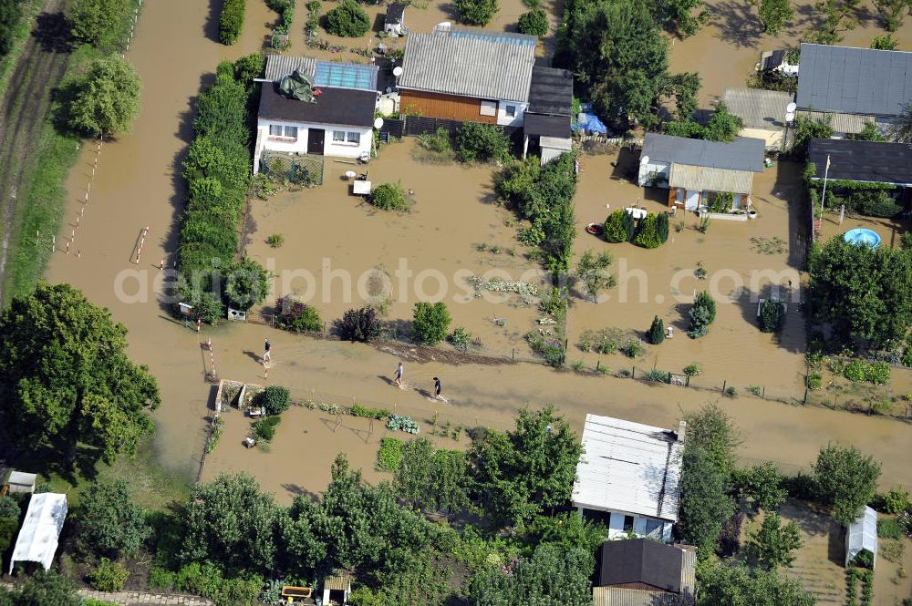 Forst from above - Blick auf das Hochwasser der Neiße in Forst an der Richard-Wagner-Straße in einer Wochenendsiedlung. View of the flood of the River Neisse in Forst.