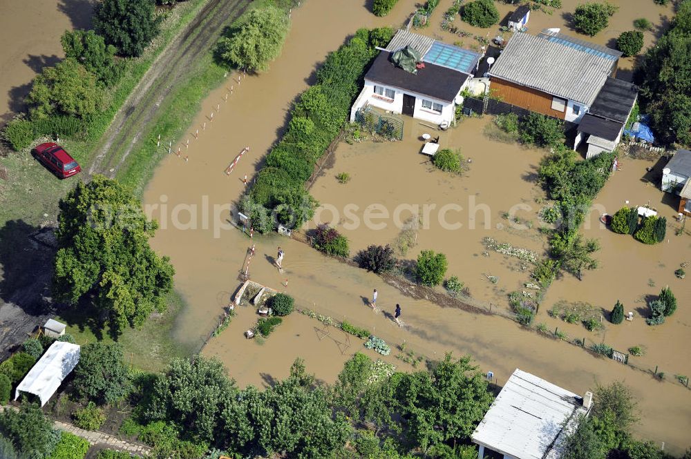 Forst from the bird's eye view: Blick auf das Hochwasser der Neiße in Forst an der Richard-Wagner-Straße in einer Wochenendsiedlung. View of the flood of the River Neisse in Forst.