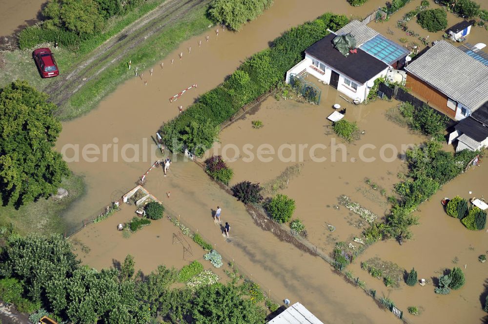 Aerial image Forst - Blick auf das Hochwasser der Neiße in Forst an der Richard-Wagner-Straße in einer Wochenendsiedlung. View of the flood of the River Neisse in Forst.