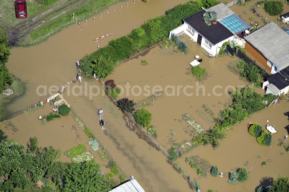 Aerial photograph Forst - Blick auf das Hochwasser der Neiße in Forst an der Richard-Wagner-Straße in einer Wochenendsiedlung. View of the flood of the River Neisse in Forst.