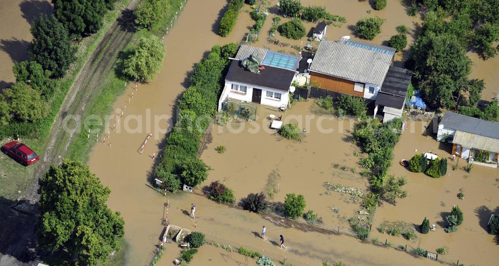 Forst from above - Blick auf das Hochwasser der Neiße in Forst an der Richard-Wagner-Straße in einer Wochenendsiedlung. View of the flood of the River Neisse in Forst.